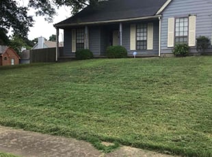 Brian R.'s turf care service result
