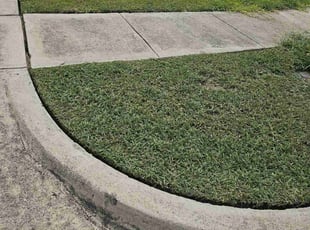 Igor C.'s lawn service service result