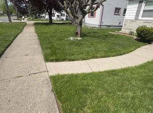 Alicia S.'s turf maintenance service result