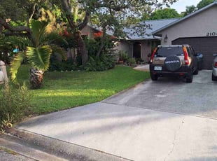 Emanuel A.'s lawn care service result