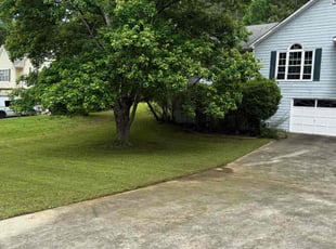Joy H.'s lawn care service result