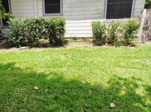 Nicole H.'s turf care service result