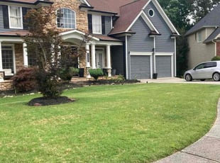 Vanessa W.'s lawn service service result