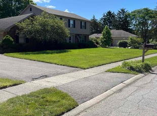 Eileen H.'s grass maintenance service result