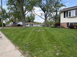 Dana G.'s grass maintenance service result