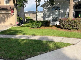 Mary M.'s lawn care service result