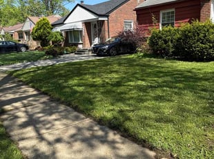 Rachel H.'s turf care service result
