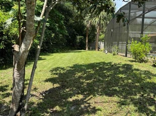 Helmut R.'s turf care service result
