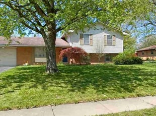 Mark C.'s lawn care services service result