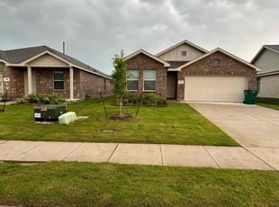 Marc R.'s lawn care service result