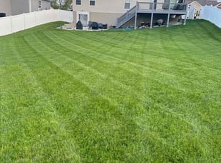 Jeffrey V.'s turf care service result