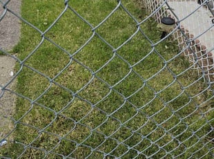 Irah C.'s grass cutting service result