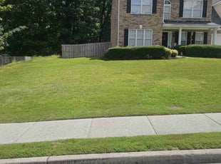 Dotty C.'s lawn care services service result