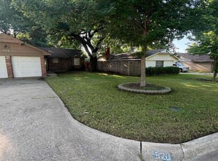 Ron A.'s lawn service service result