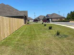 Robert G.'s turf care service result