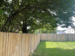 Gregg G.'s Tree Care service result