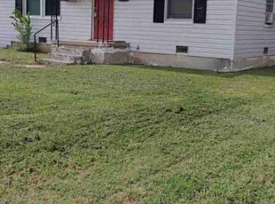 Abigail G.'s lawn service service result