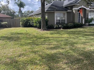 Denise T.'s lawn care service result