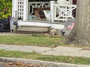 Leonard H.'s Flower Bed Weeding service result