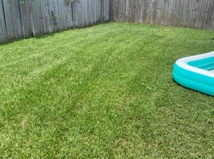Barbara P.'s yard care service result