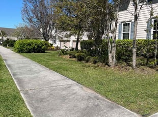 Kathy H.'s grass cutting service result