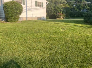 Man B.'s lawn care service result