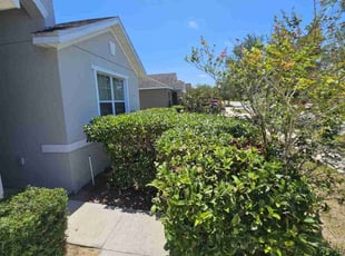 Tom B.'s Bush Trimming service result