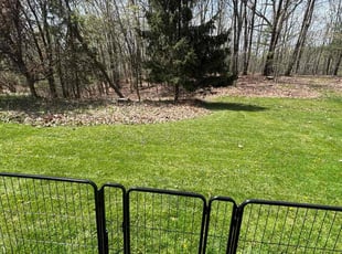 Jamie M.'s lawn care services service result