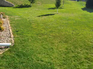 Gloria R.'s lawn service service result