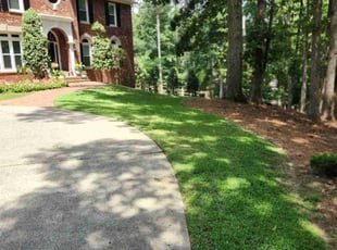 Stephanie R.'s grass maintenance service result