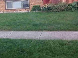 Jaelynne N.'s turf care service result