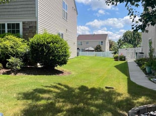 Elnora R.'s lawn maintenance service result