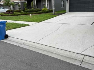 Denica C.'s turf maintenance service result