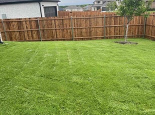 Tracy L.'s turf care service result