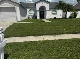 Cody S.'s grass cutting service result