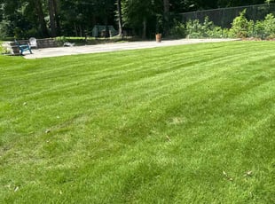 Glenda M.'s turf maintenance service result