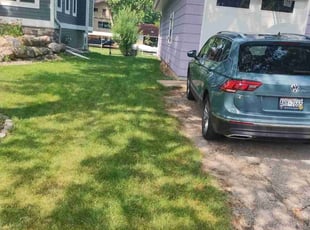 Clarisse S.'s grass cutting service result