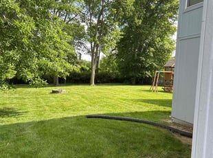 Allan L.'s lawn service service result