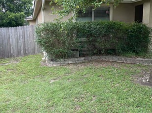 Catherine H.'s Bush Trimming service result