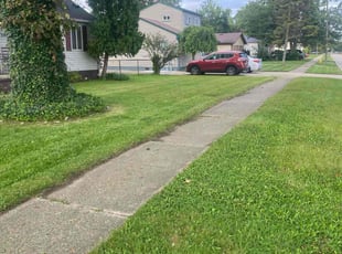 Scott C.'s lawn care service result