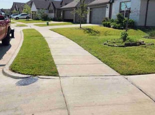 Martha C.'s lawn service service result