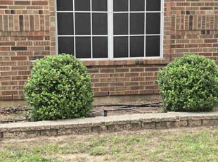 Ronnie W.'s Bush Trimming service result