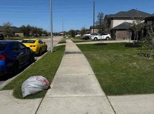 Jack D.'s yard work service result
