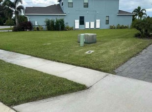 Shazeen F.'s lawn service service result