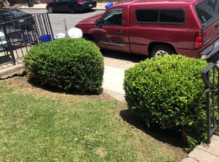 Barbra R.'s Bush Trimming service result