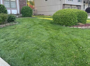 Ken B.'s lawn care services service result
