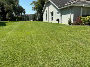 Michael P.'s landscape maintenance service result