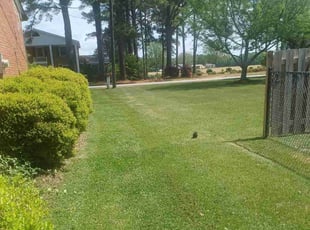 Obrien M.'s lawn care services service result