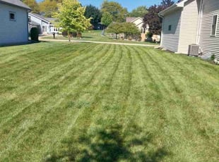 William B.'s grass cutting service result