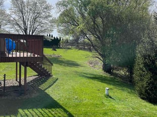 Molly M.'s turf maintenance service result